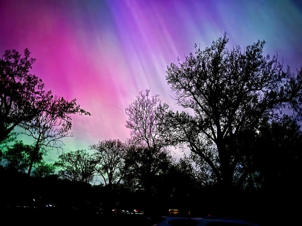 trees, silhouette, northern lights, nature, aurora, aurora borealis, colorful, night, stars