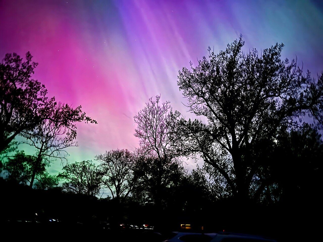 trees, silhouette, northern lights, nature, aurora, aurora borealis, colorful, night, stars